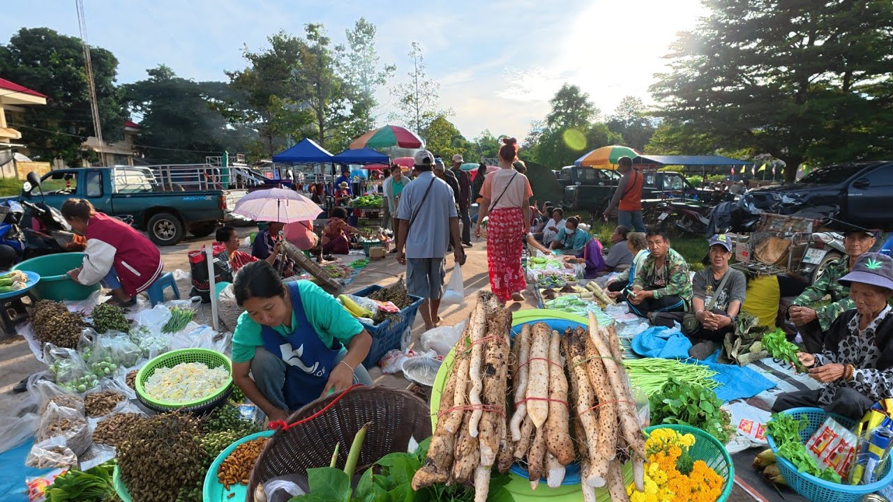 #ชนบทอีสาน EP#06 อาหารป่า ตลาดนัดเช้า อ.กุดข้าวปุ้น อุบลราชธานี #food 