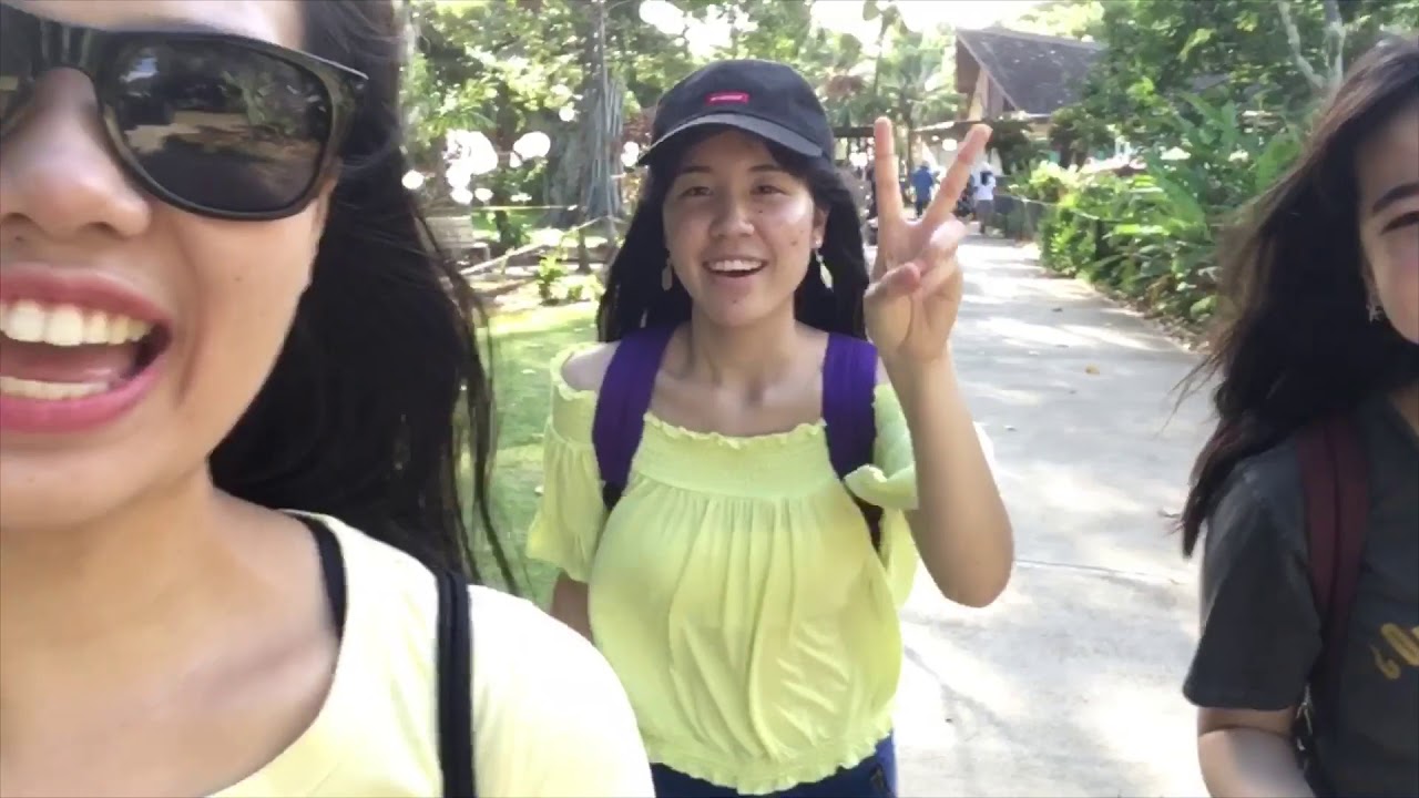 Japan to Hawaii🍍