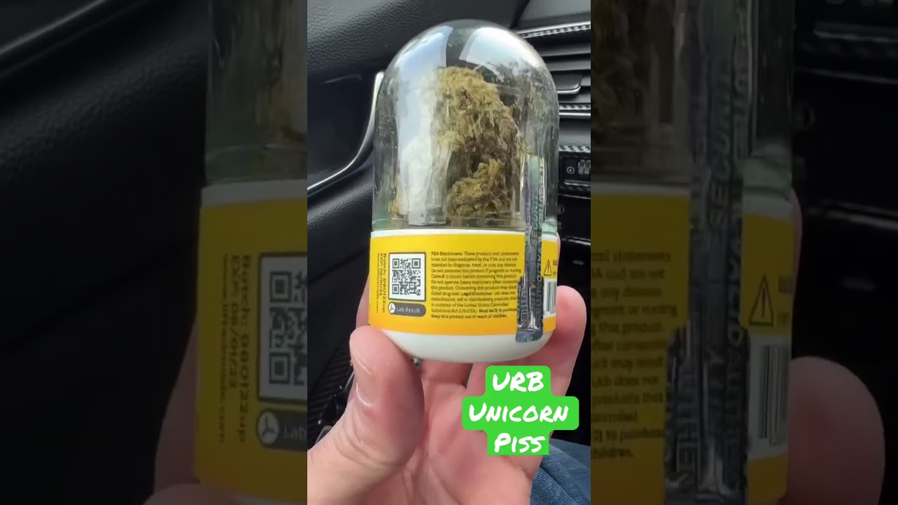 URB Unicorn 🦄 Piss #short #thcb #thca #thcp #hhc #thc