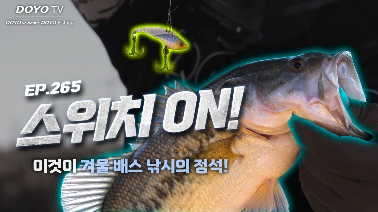 [도요TV ep.265] 겨울 배스 낚시가 이렇게 쉽다니?!
