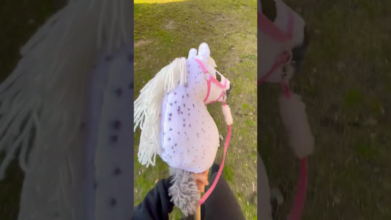 Lubicie siwe w hereczke? Powoli powracamy💗 #dlaciebie #horse #wybijsie #hobbyhorse #hobbyhorsing