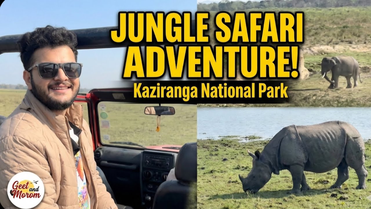 UNBELIEVABLE Wildlife Encounters! 🐘🦏 | Kaziranga Safari Vlog ✨