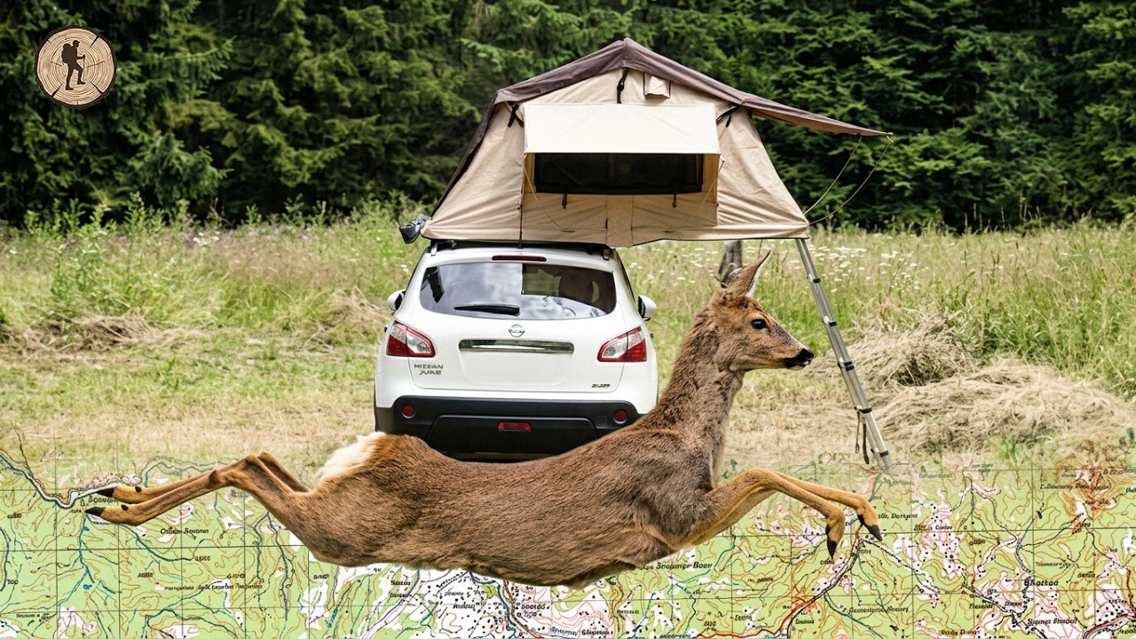 Solo Camping in the Forest with Rooftop Tent - Deer Visit, Wildlife & Campfire Cooking