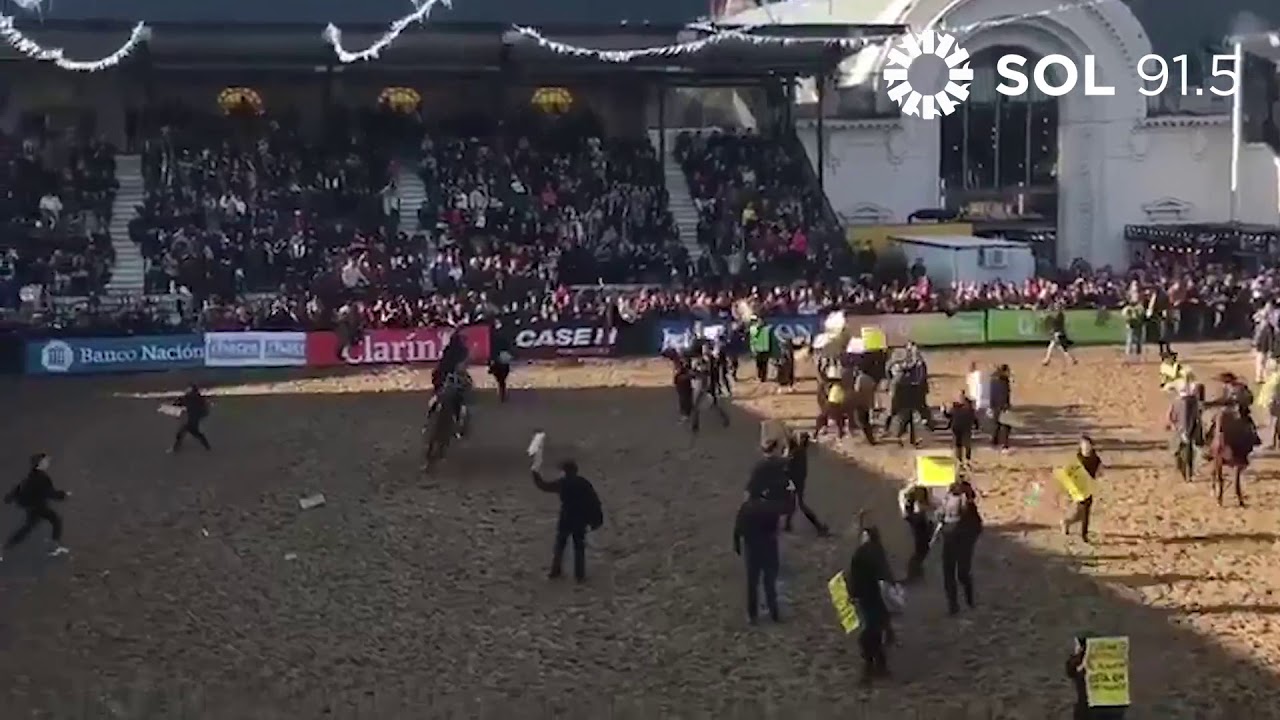 ➡🐎Gauchos vs Veganos 🌱 - Sociedad Rural 2019