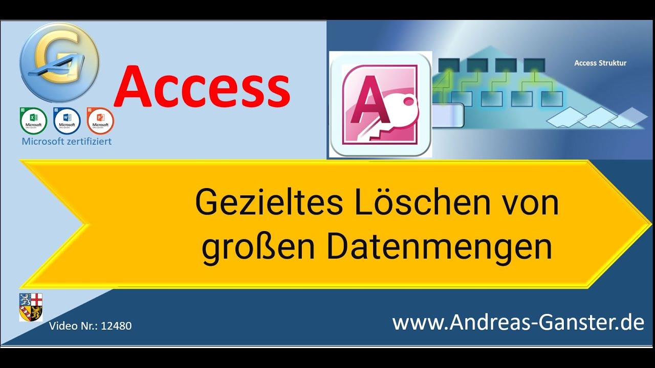 Große Datenmengen gezielt sekundenschnell löschen | #Access #tips 12480 | #|tutorial  #Ganster