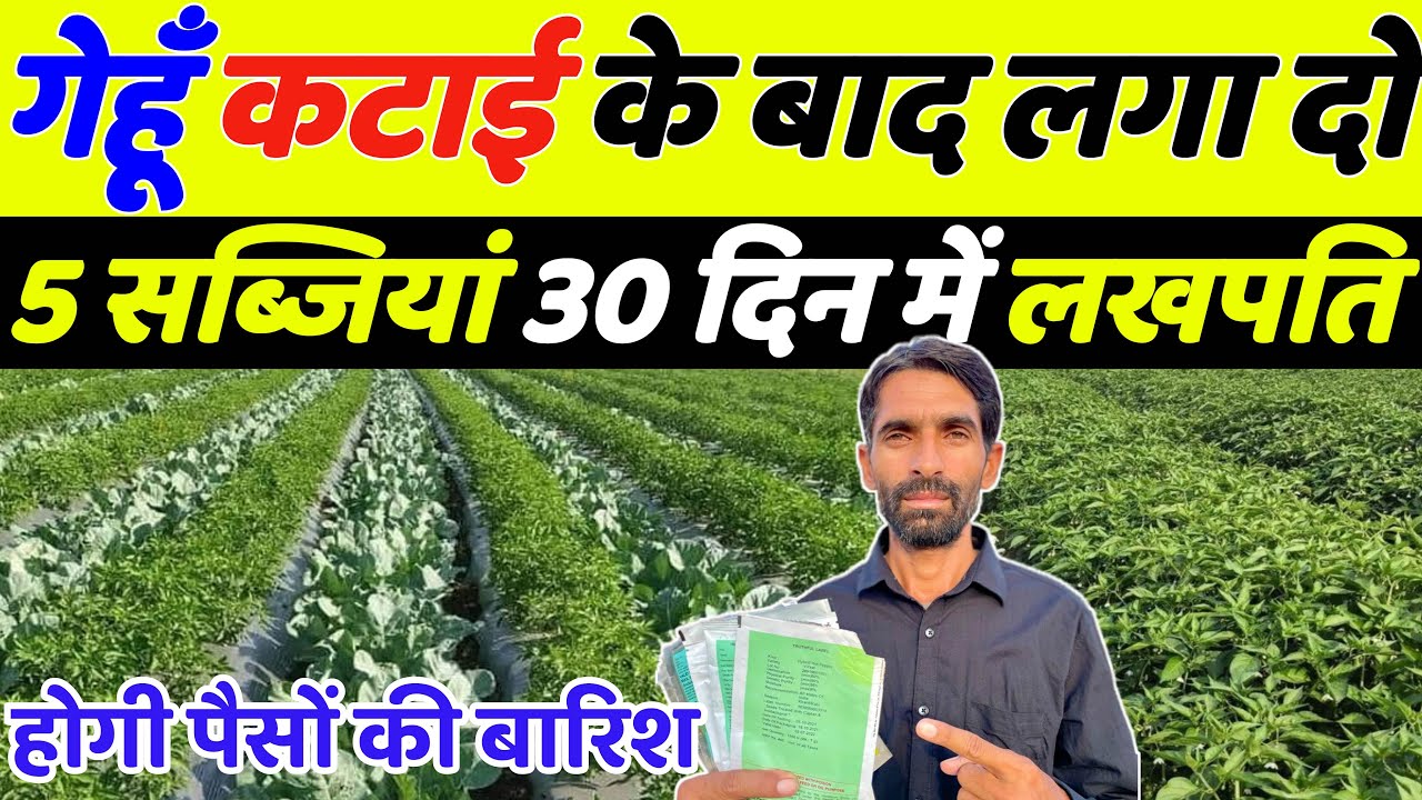 गेहूँ काटने के बाद कौनसी सब्जी लगाएं | Gehu katai ke bad konsi sabji lagaye |April me sabji ki kheti