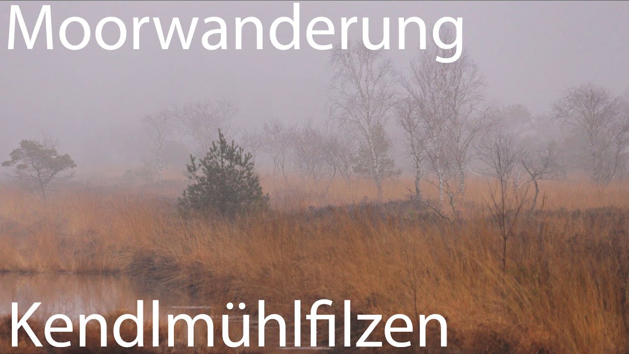 Spooky and foggy moor hike through the Kendlmuehlfilzen | Grassau in the Chiemgau