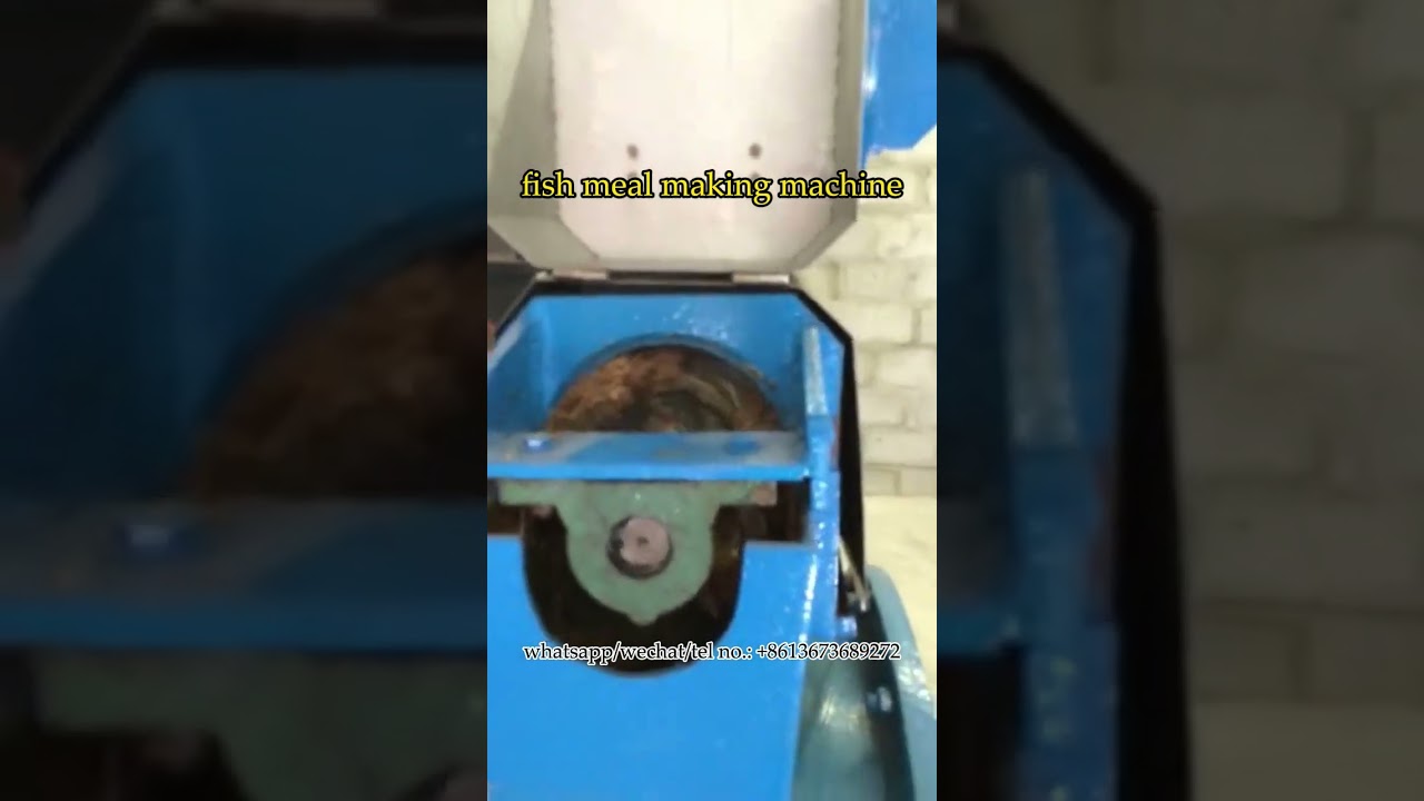 Fish meal and fish oil machine plant for rendering fish powder 
