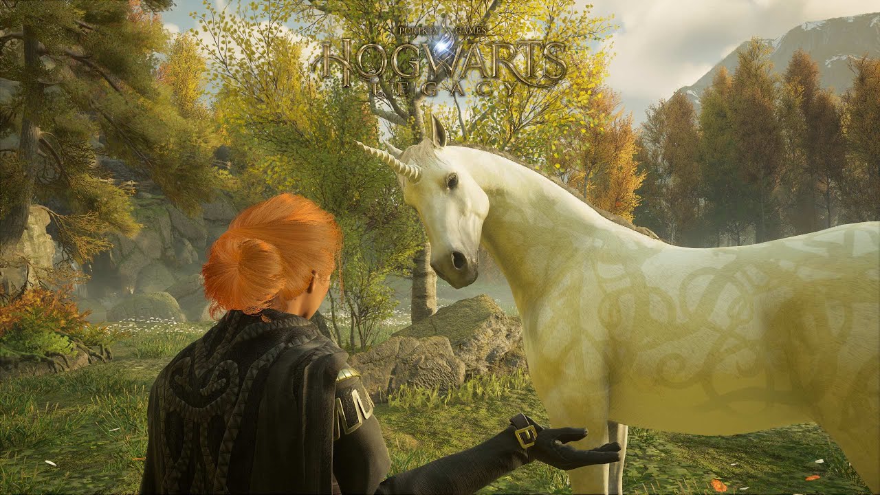 Completing a Quest then telling my unicorn all about it