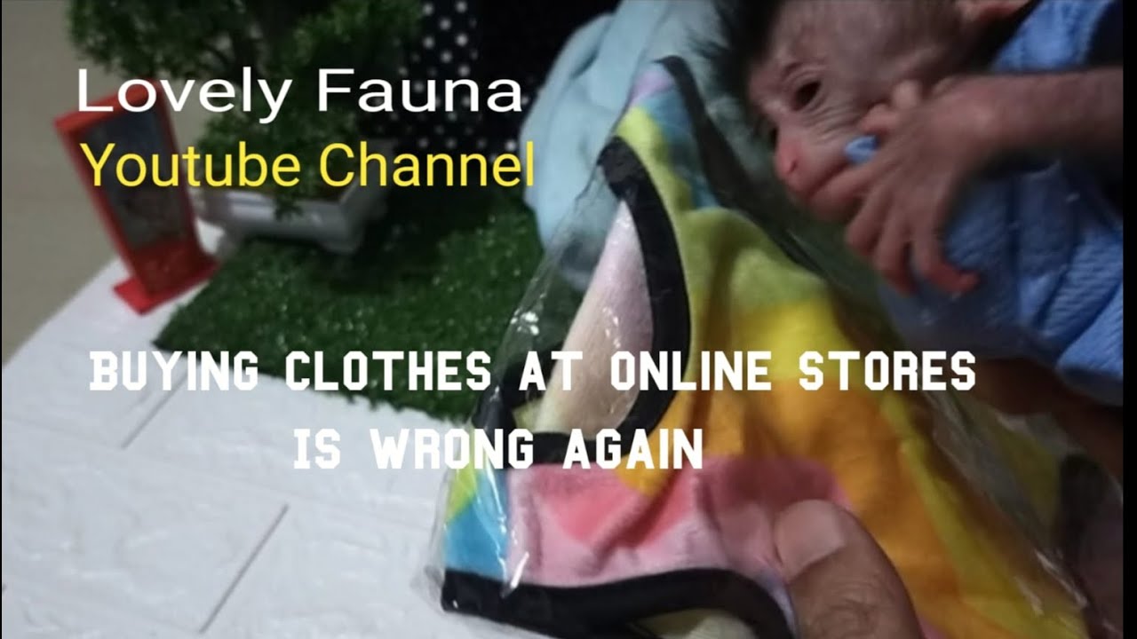 Buying clothes at online stores is wrong again , Lovely Fauna Youtube Channel