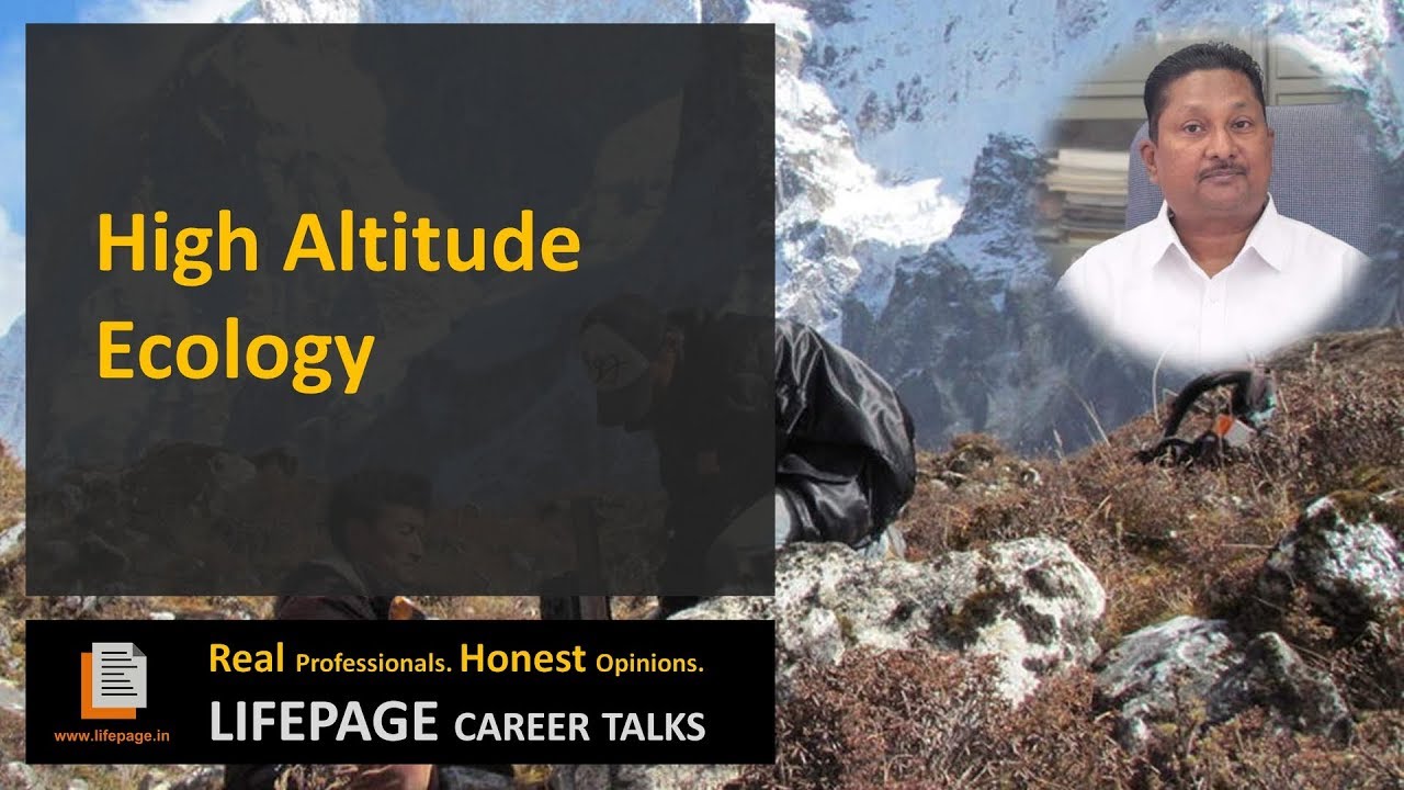 LifePage Career Talk on High Altitude Ecology