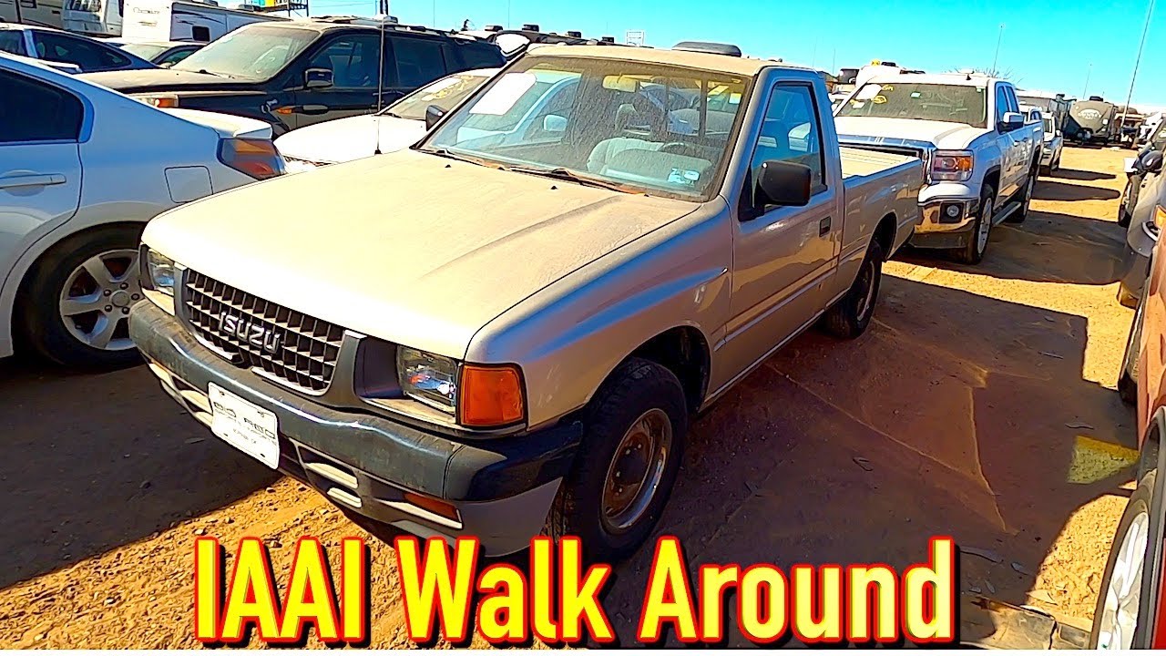 IAAI First Ever Walk Around Video!!