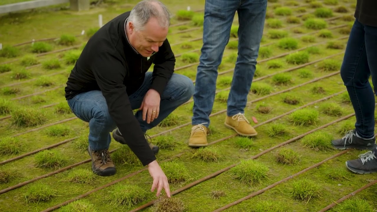Plant genomics for food security