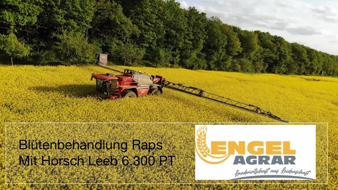 Blütenbehandlung im RAPS mit einer HORSCH LEEB 6.300 PT | Engel Agrar