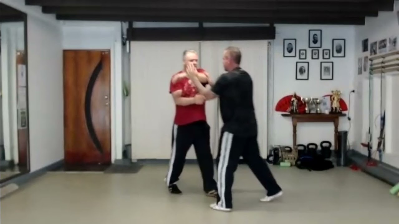 Tai Chi Push Hands walking with applications with Lao Shi Damon Bramich