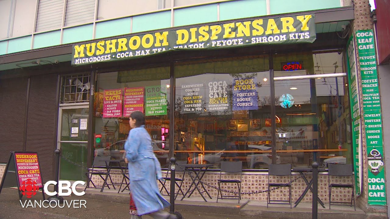 Vancouver sees a boom in magic mushroom dispensaries