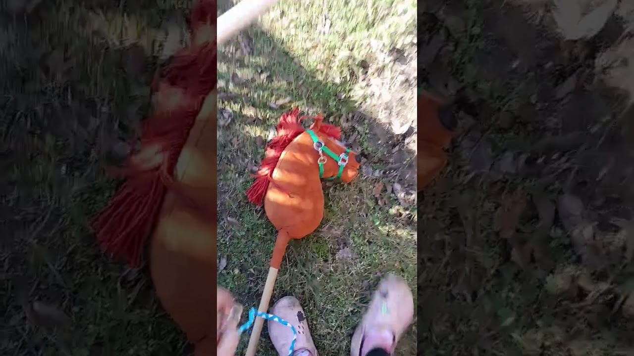 1. Вывод лошадей на пастбище 🐴🐎