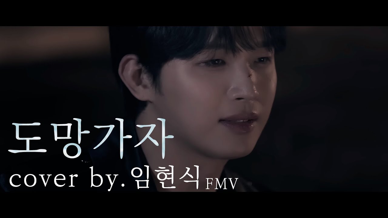 [BTOB] 임현식 - 도망가자 cover. (원곡:선우정아) FMV (3'21