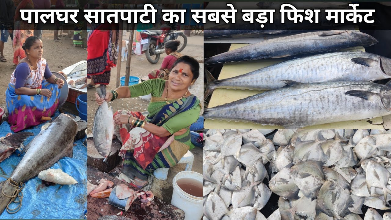 Palghar Satpati Machhi Market | Satpati Fish Market Palghar | Fish Market Satpati Mumbai