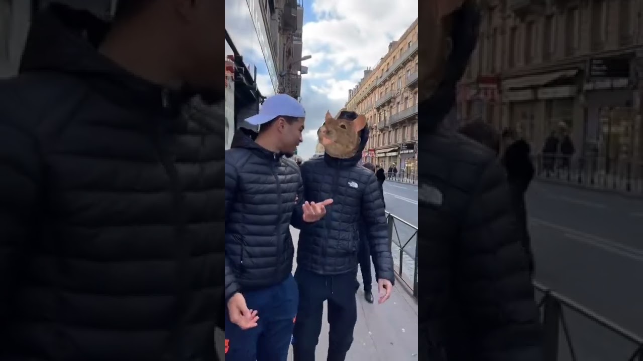 Le Rat et le test COVID