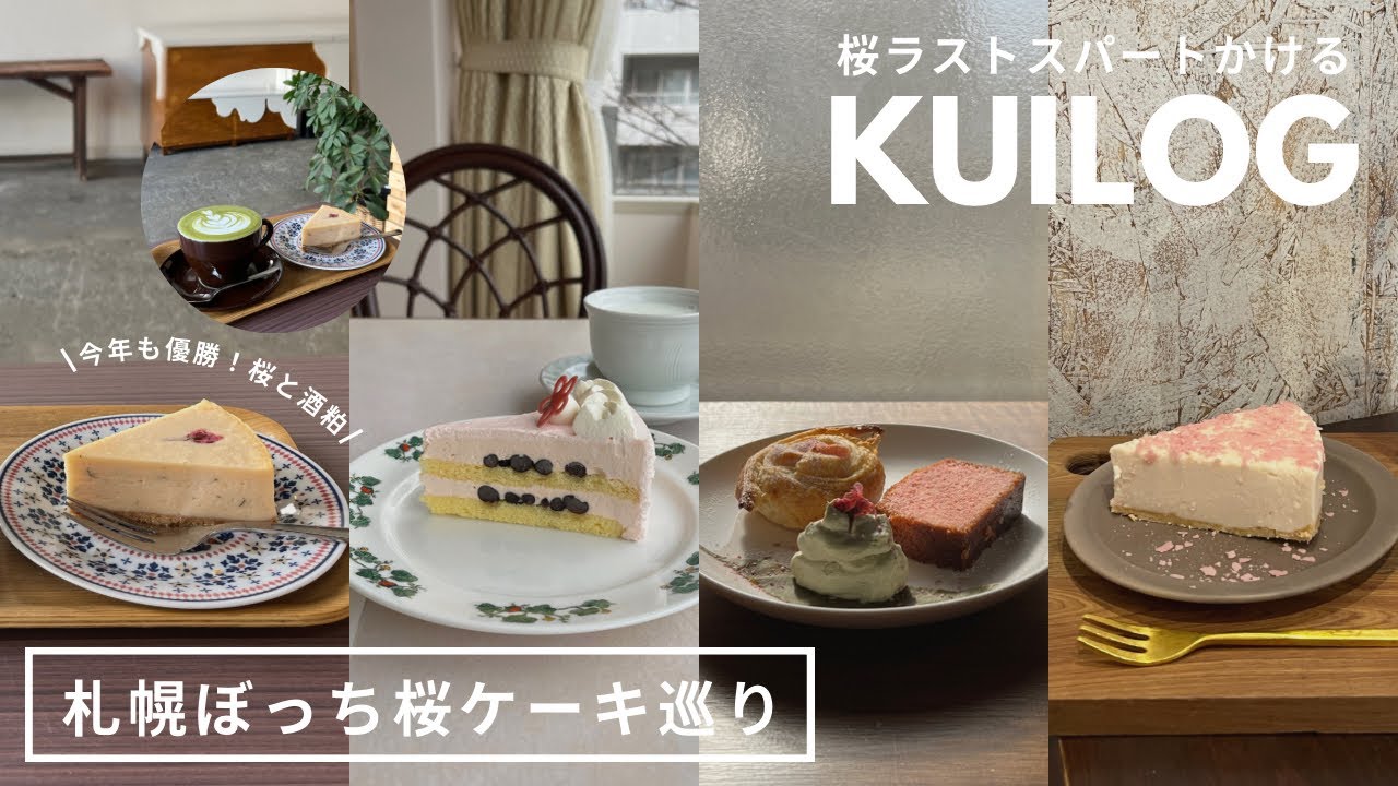 札幌ソロ活カフェ｜桜スイーツ追い込み🌸ぼっち札幌カフェ巡り🫶🏻桜の季節が終わっちゃうう🌷桜ケーキ｜チーズケーキ｜円山｜南郷18丁目｜vlog｜kuilog