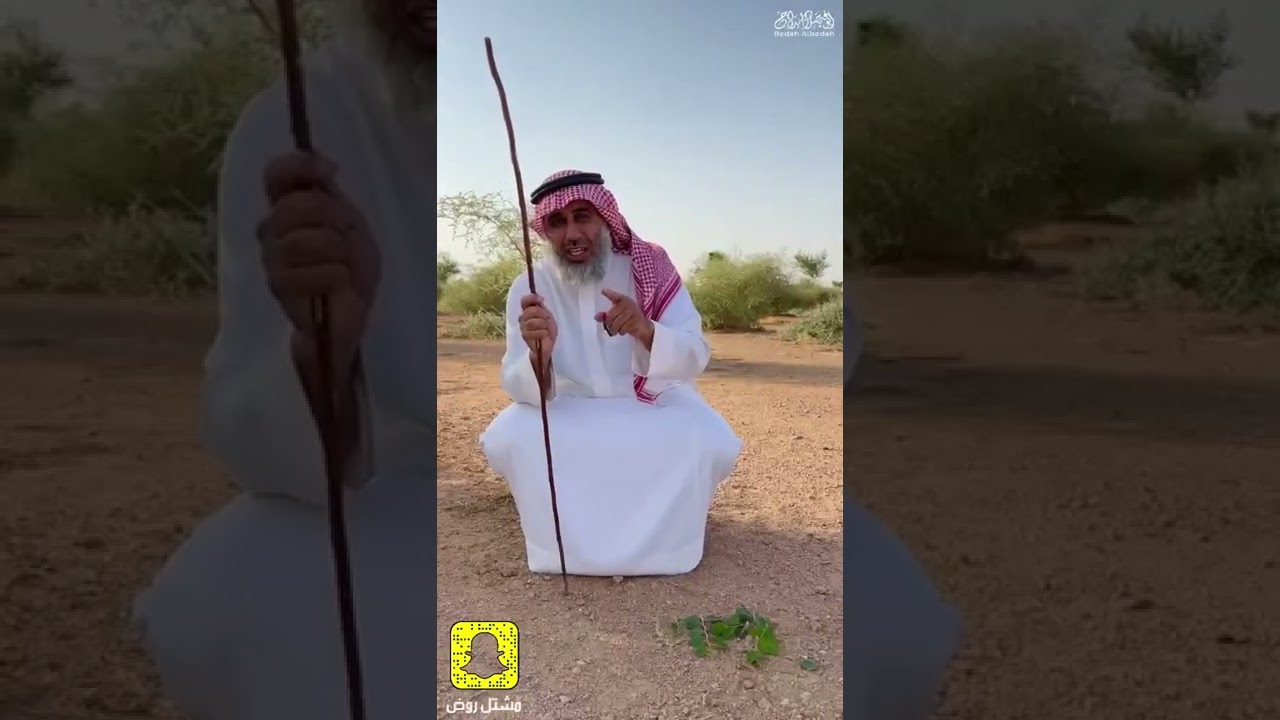 مشروع التحدي 🍀🌱
