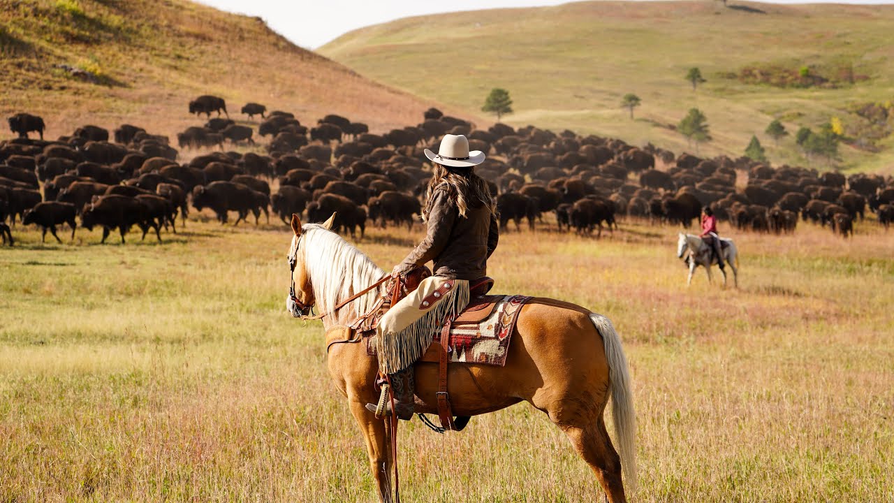 Gov. Noem Rides in the Buffalo Roundup