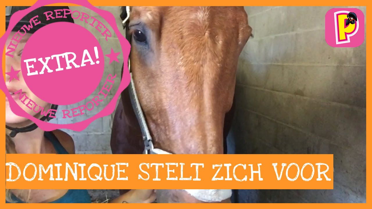 Dressuurtopper Dominique stelt zich voor