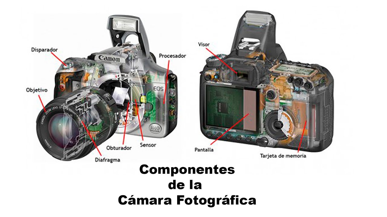 Partes de la de la Cámara Fotográfica