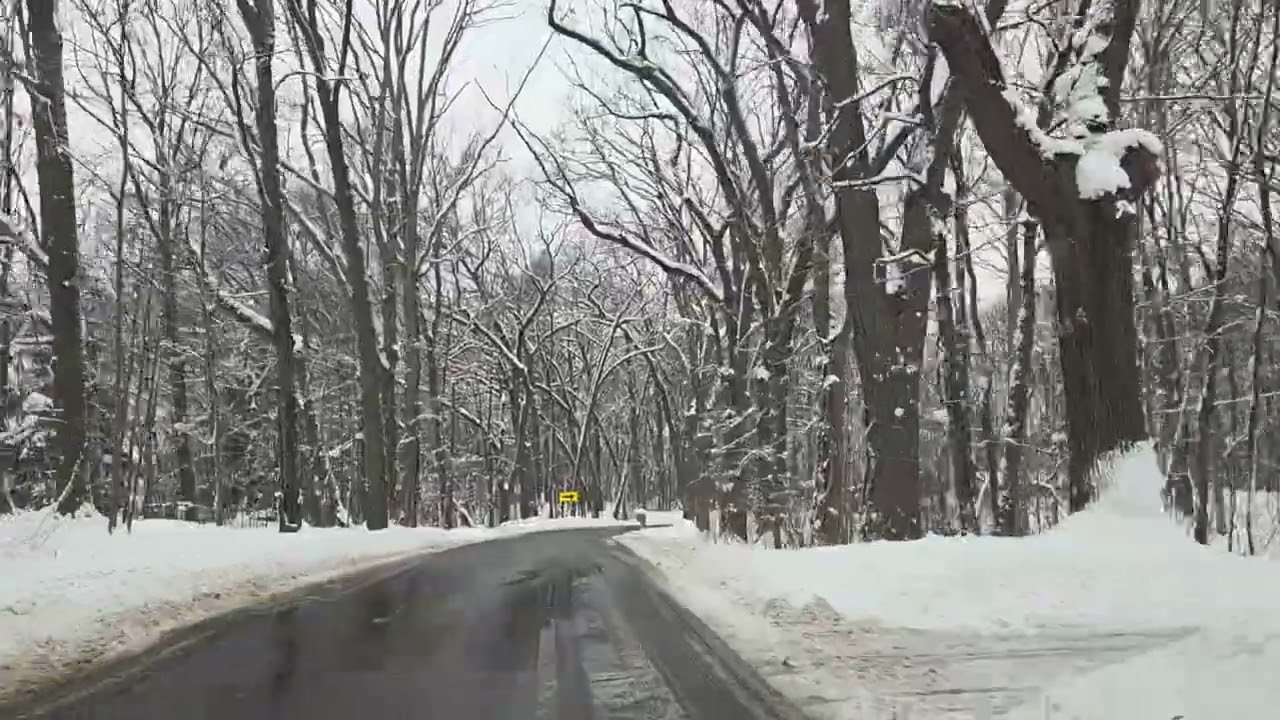 Snowy Winter Drive though Scenic Woods