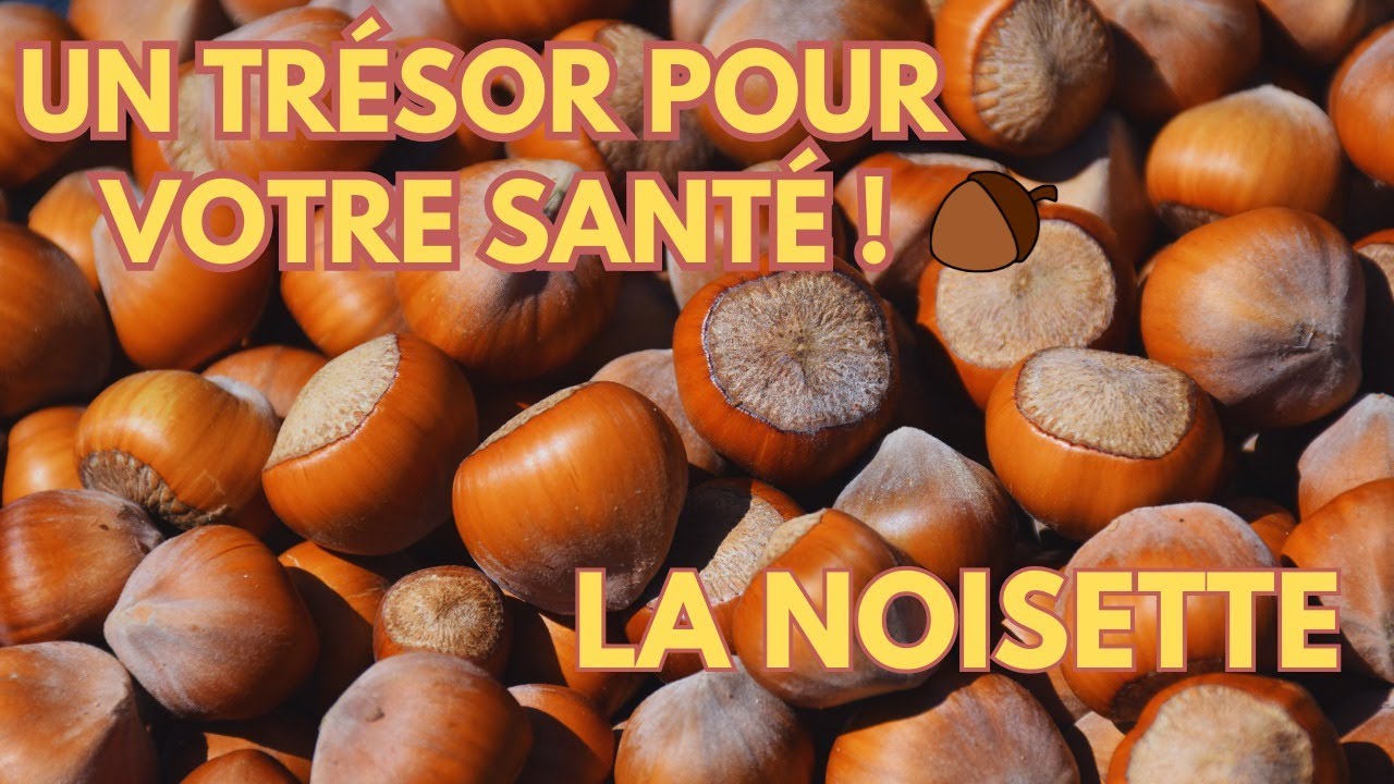 LES BIENFAITS DES NOISETTES