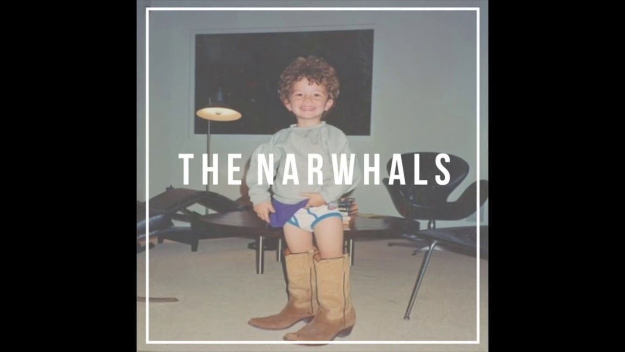 The Narwhals - 