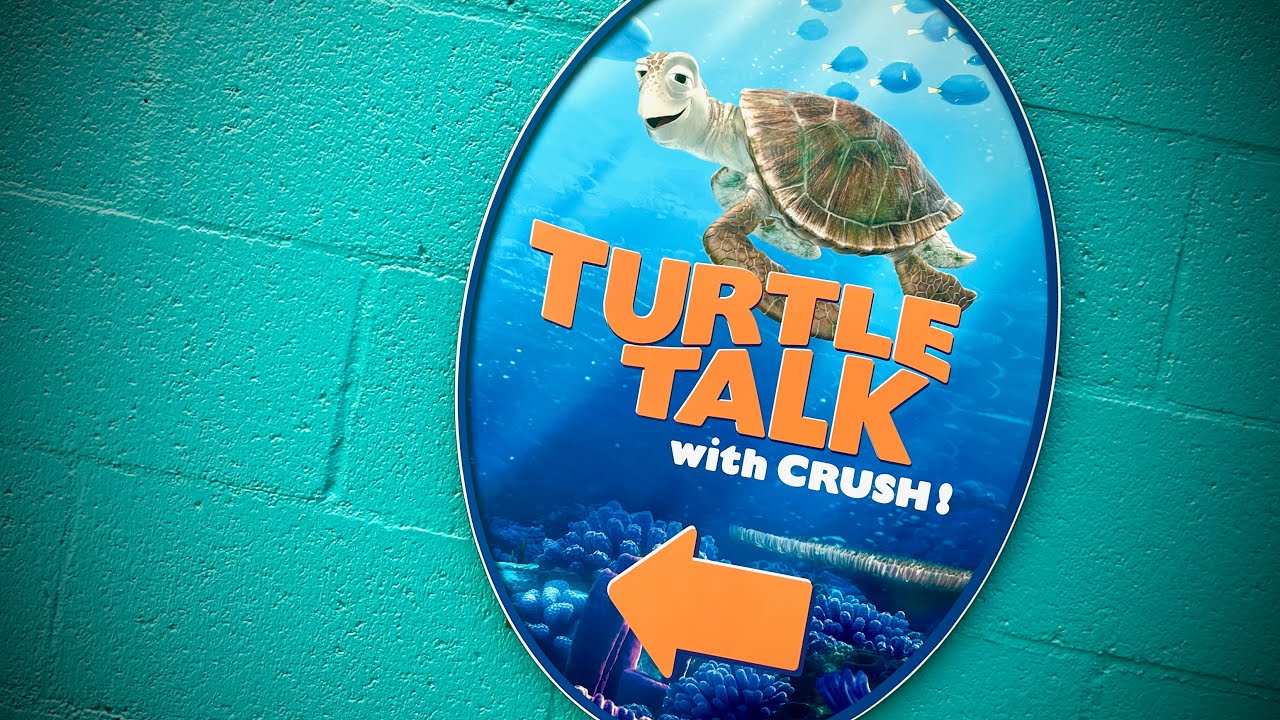 [2022 Sept] Turtle Talk with Crush! HD -- Disney California Adventure (DCA)