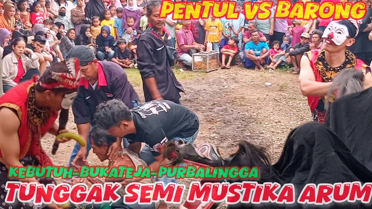 Pentul vs barong ebeg TUNGGAK SEMI MUSTIKA ARUM //kebutuh-bukateja-purbalingga