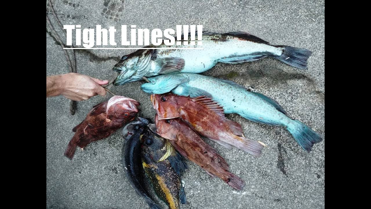 Catch n Cook Lingcod & Rockfish: CHINESE FISH DUMPLINGS!