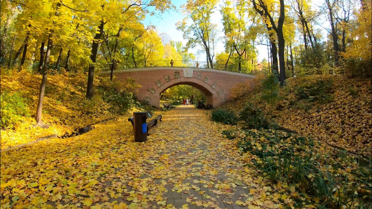 Осенняя прогулка в Москве, Осенние листья, Нескучный сад 4К.