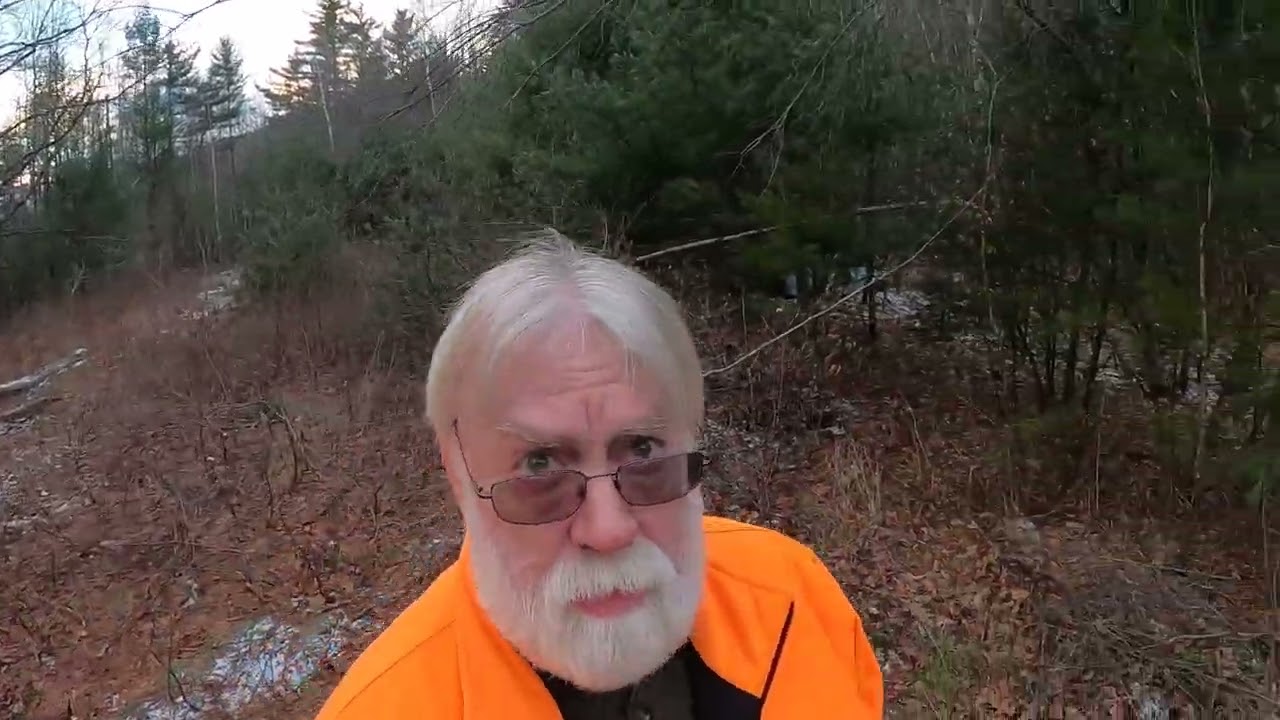 Sugarbush Update. Logging is about to begin.