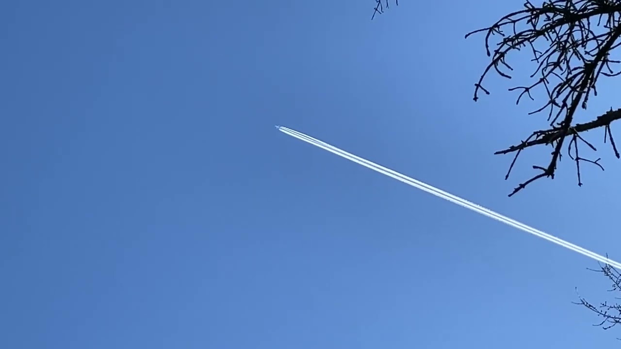 Airbus A340-313, D-AIGU