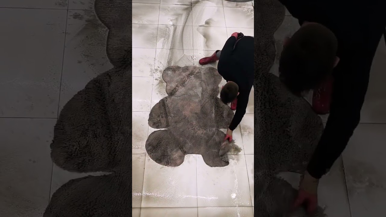 Immersive Carpet Washing for Ultimate Stress Relief