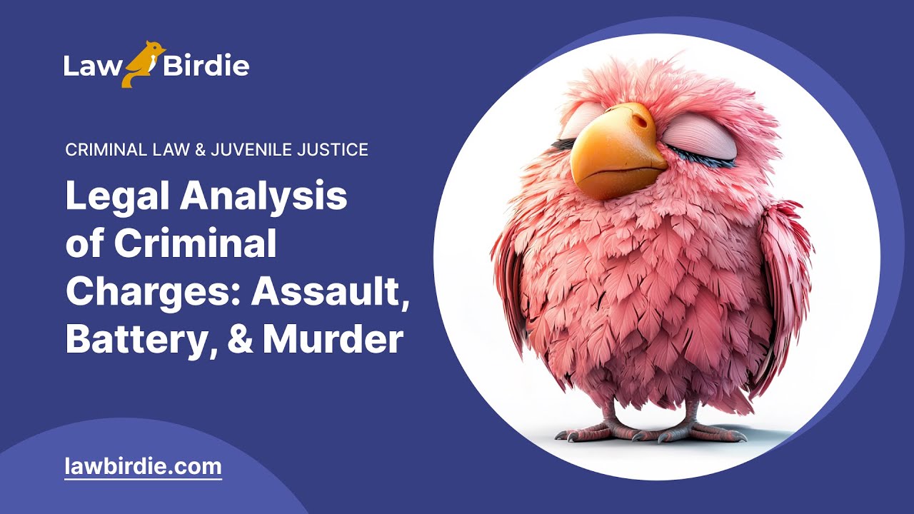 Legal Analysis of Criminal Charges: Assault, Battery, and Murder - Essay Example