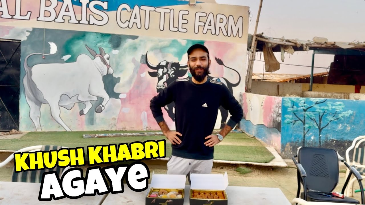 Alhamdulillah First Breeding Result♥️ | New Born Dekh Kar Dil Khush Hogaya😍 | Bachrion Ki Masti♥️