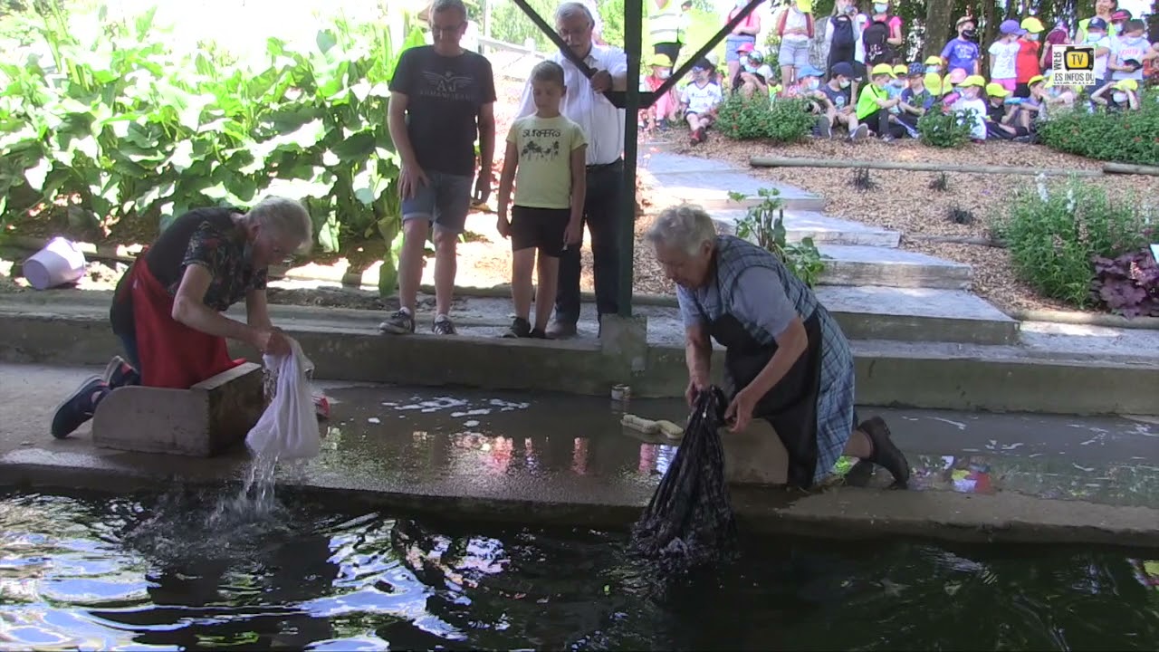 Carentoir. Les lavandières retrouvent leur lavoir