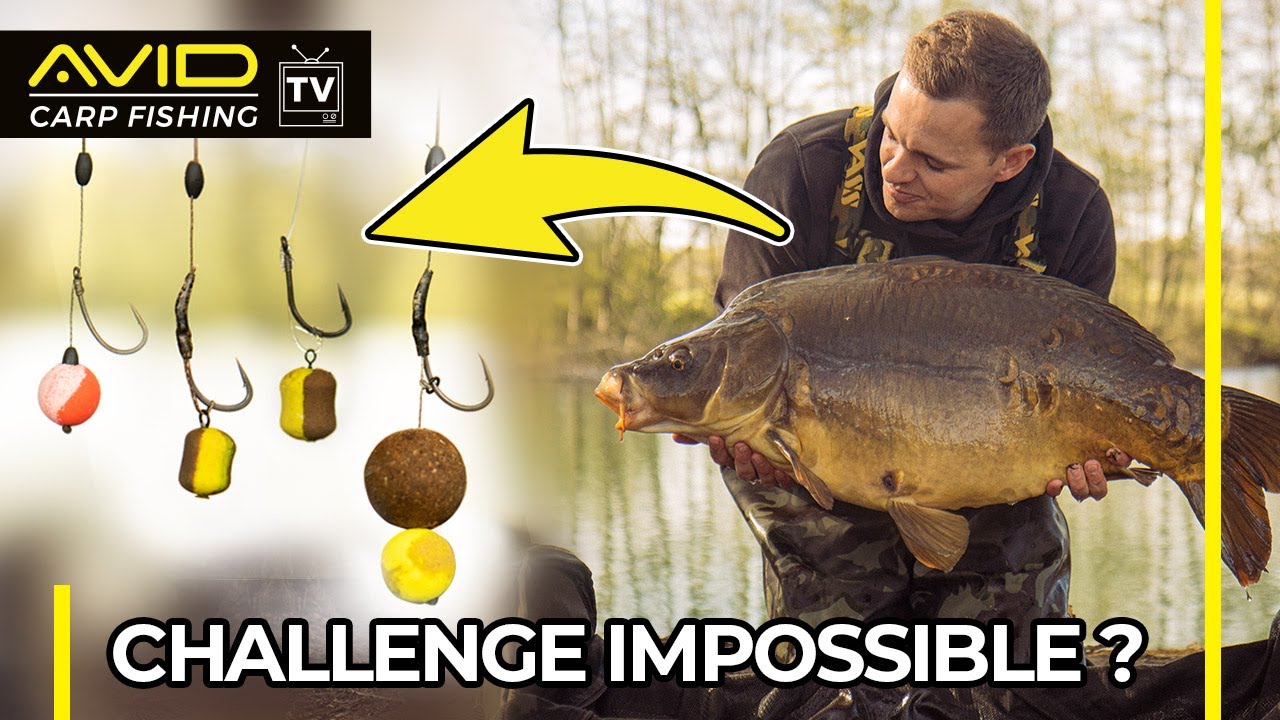 CHALLENGE CARPE: 4 MONTAGES = 4 CARPES | Attraper au moins une carpe par montage (avec Bruno Simond)
