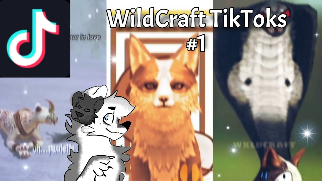 WildCraft TikToks #1
