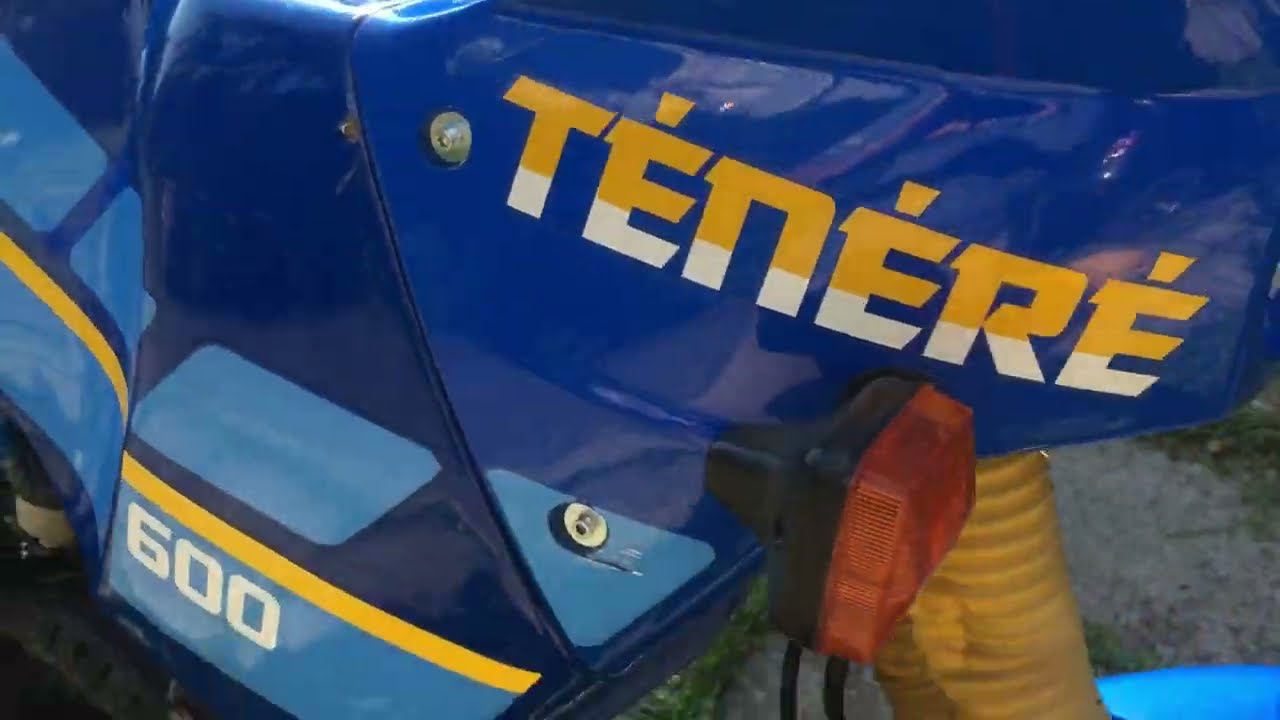 Yamaha XT600Z Tenere walk around and sound