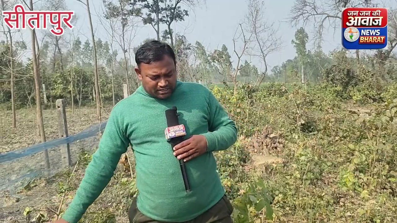वन विभाग का आम वृक्ष कटान परमिट हुआ समाप्त, इसके बाद हुआ हर कटान अवैध