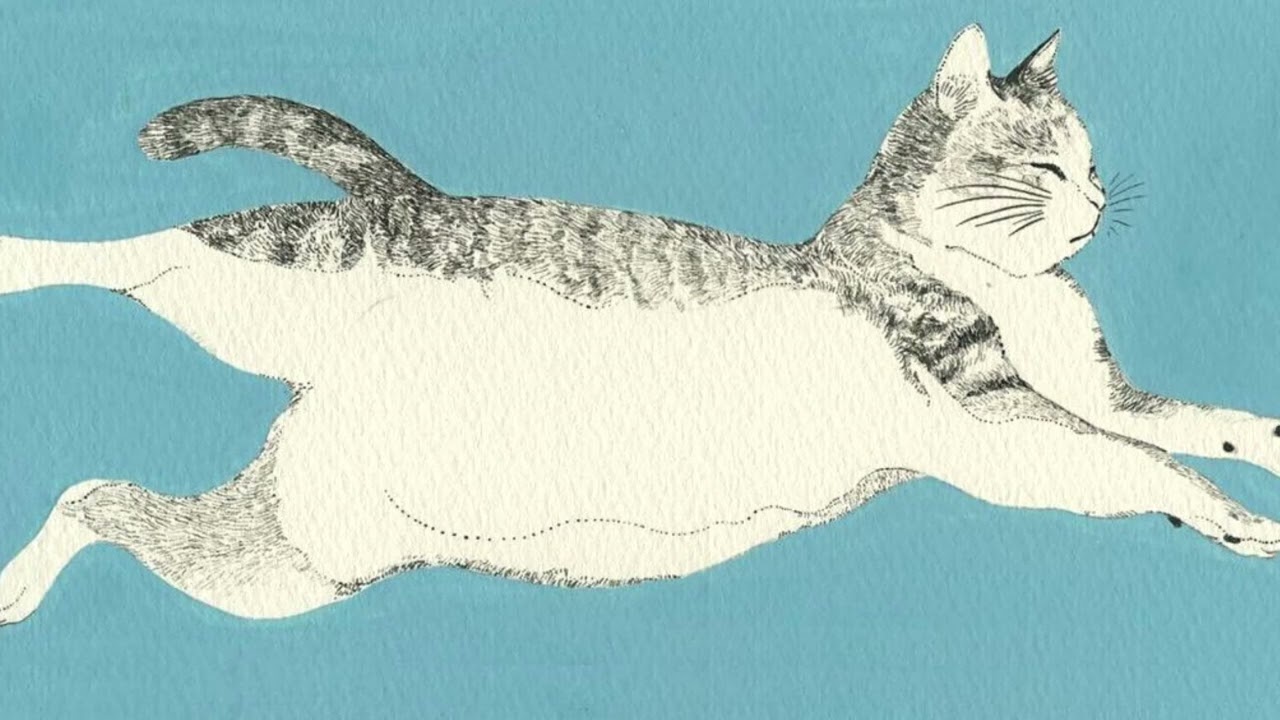 니와모리 피아노 모음집 8시간