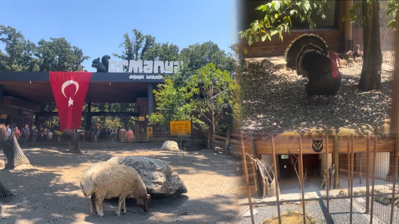 Turkey’s Most Exotic Zoo at Kartepe, Kocaeli (Ormanya Part 1)