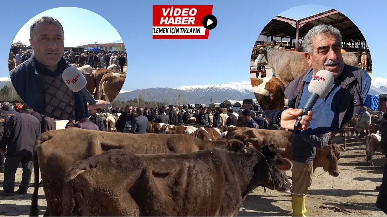 Erzincan’da Bayrama Sayılı Günler Kala Fiyatlar Belli Oldu!