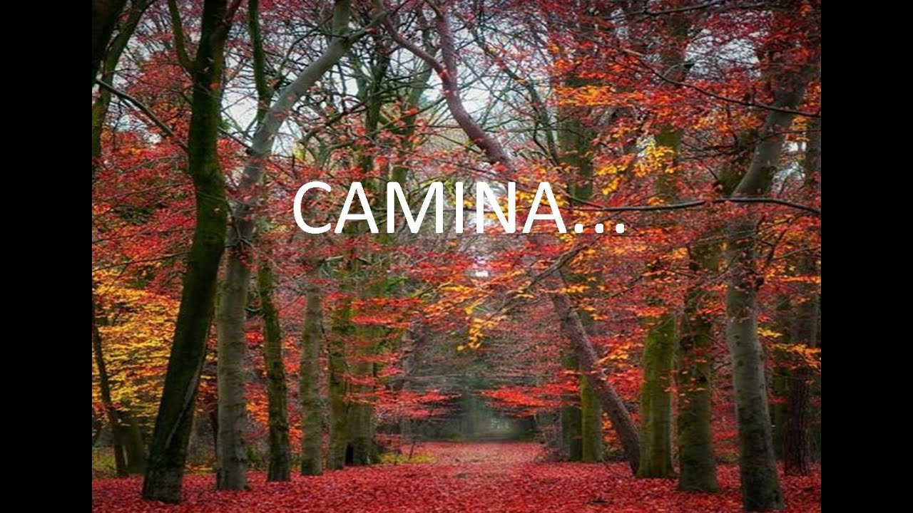 Camina